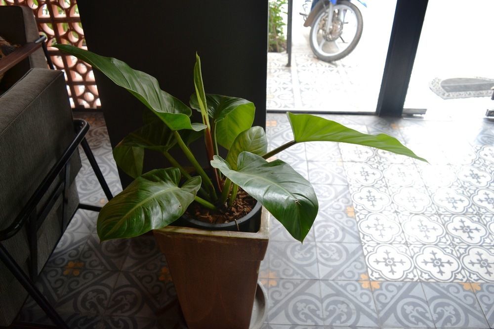 Monsoon Bassac Hotel Phnom Penh Exteriör bild