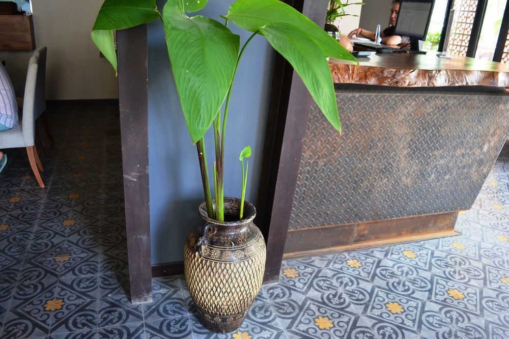 Monsoon Bassac Hotel Phnom Penh Exteriör bild