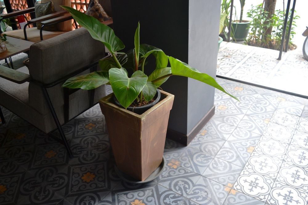 Monsoon Bassac Hotel Phnom Penh Exteriör bild